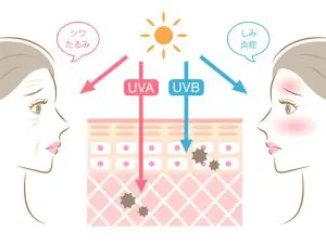 日焼け 人気 止め 必要 ない